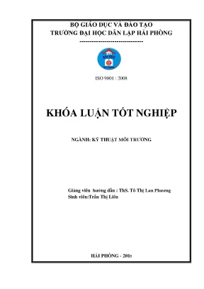 Nghiên Cứu Khả Năng Xử Lý Fe3+ Trong Nước Bằng Vật Liệu