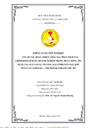 Phân Tích Tài Chính Khách Hàng Doanh Nghiệp Tại GPBank: