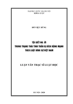 Tội Giết Người Trong Trạng Thái Tinh Thần Bị Kích Động