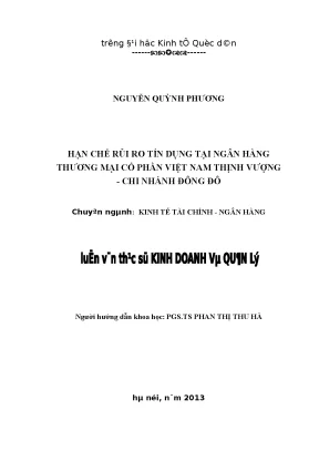 Giải Pháp Hạn Chế Rủi Ro Tín Dụng Tại Ngân Hàng Thương