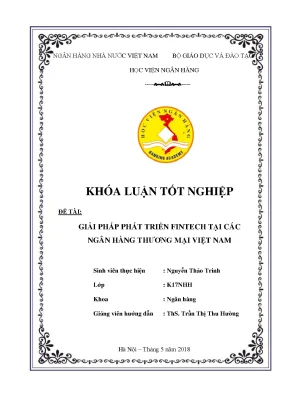 Giải Pháp Phát Triển Fintech Tại Ngân Hàng Thương Mại