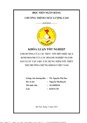 Ảnh Hưởng Cấu Trúc Vốn Đến Hiệu Quả Kinh Doanh Doanh