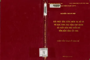 Giải Pháp Tăng Cường Quản Trị Rủi Ro Tín Dụng Tại Ngân