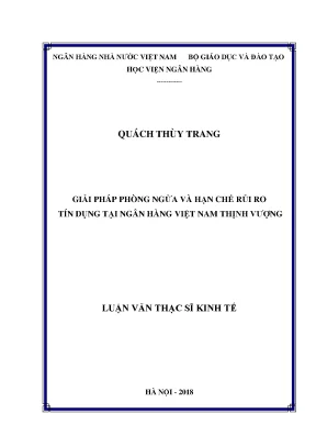 Giải Pháp Phòng Ngừa Rủi Ro Tín Dụng Tại Ngân Hàng Việt Nam