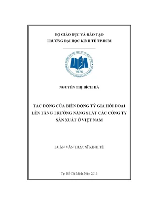 Tác Động Của Biến Động Tỷ Giá Hối Đoái Đến Năng Suất Các