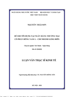 Rủi Ro Tín Dụng Tại Ngân Hàng TMCP Đông Nam Á – Chi