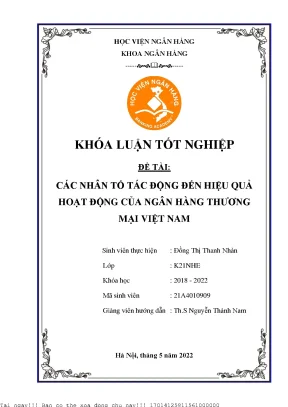 Các Nhân Tố Ảnh Hưởng Đến Hiệu Quả Hoạt Động Của Ngân