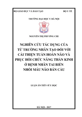 Tác Dụng Của Từ Trường Nhân Tạo Trong Phục Hồi Chức Năng 