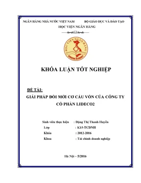 Giải Pháp Đổi Mới Cơ Cấu Vốn Tại Công Ty Cổ Phần LIDECO2