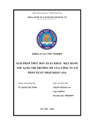 Giải Pháp Thúc Đẩy Xuất Khẩu Mặt Hàng Tóc Sang Thị Trường Mỹ