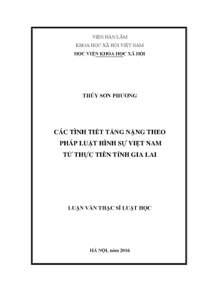 Các Tình Tiết Tăng Nặng Trong Pháp Luật Hình Sự Việt