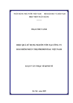 Hiệu Quả Sử Dụng Nguồn Vốn Tại Công Ty Bảo Hiểm Nhân Thọ