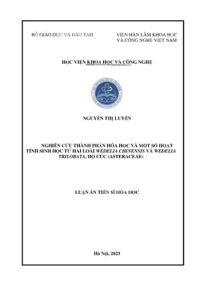 Nghiên Cứu Thành Phần Hóa Học và Hoạt Tính Sinh Học của