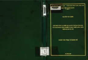 Giải Pháp Nâng Cao Hiệu Quả Quản Lý Rủi Ro Tín Dụng Tại