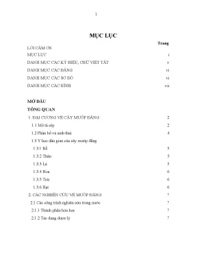 Nghiên Cứu Dược Lý và Hóa Học Cây Mướp Đắng