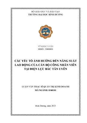 Các Yếu Tố Ảnh Hưởng Đến Năng Suất Lao Động Tại Điện Lực