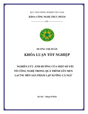 Nghiên Cứu Ảnh Hưởng Của Công Nghệ Lên Men Lactic Đến