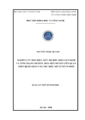 Nghiên Cứu Đột Biến Gen EGFR và Methyl Hóa DNA Trong Ung