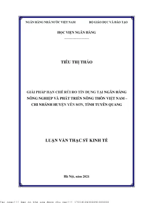 Giải pháp giảm thiểu rủi ro tín dụng tại Ngân hàng Nông