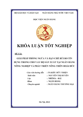 Giải Pháp Phòng Ngừa Rủi Ro Tín Dụng Trong Cho Vay Hộ