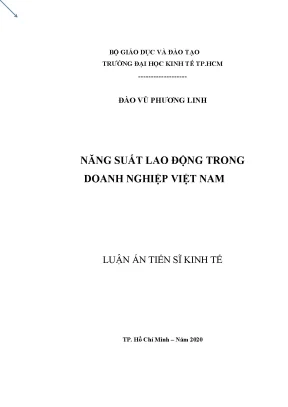 Năng Suất Lao Động Trong Doanh Nghiệp Việt Nam: Nghiên