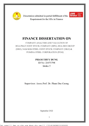 Phân Tích và Định Giá Công Ty Thép Tại Việt Nam: HPG, 