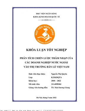 Phân Tích Chiến Lược Thâm Nhập Của Doanh Nghiệp Nước