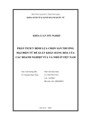 Phân Tích Lựa Chọn Sàn Thương Mại Điện Tử Xuất Khẩu Hàng