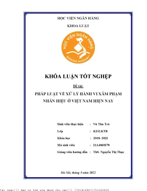 Pháp Luật Xử Lý Hành Vi Xâm Phạm Nhãn Hiệu Tại Việt Nam