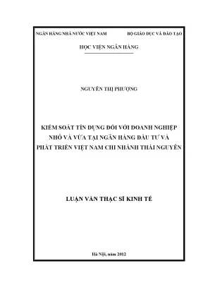 Kiểm Soát Tín Dụng Doanh Nghiệp Nhỏ và Vừa Tại Ngân Hàng