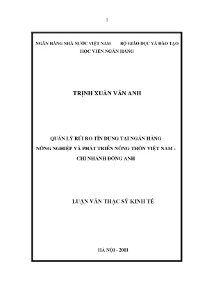Quản Lý Rủi Ro Tín Dụng Tại Ngân Hàng Nông Nghiệp Việt Nam