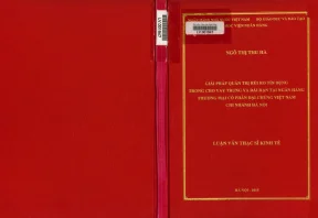 Quản Trị Rủi Ro Tín Dụng Trong Cho Vay Trung và Dài Hạn