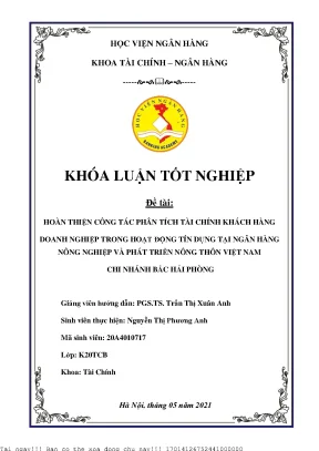 Hoàn thiện phân tích tài chính doanh nghiệp trong tín