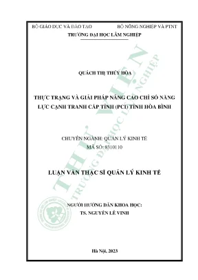 Giải Pháp Nâng Cao Chỉ Số Năng Lực Cạnh Tranh Cấp Tỉnh