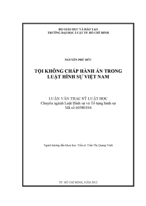 Tội Không Chấp Hành Án Trong Luật Hình Sự Việt Nam: Thực