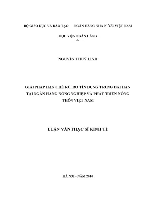 Giải Pháp Hạn Chế Rủi Ro Tín Dụng Trung Dài Hạn Tại Ngân