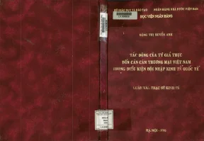 Tác động của tỷ giá thực đến cán cân thương mại Việt Nam