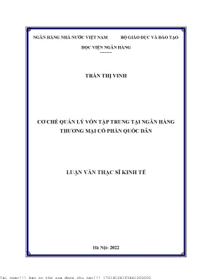 Cơ Chế Quản Lý Vốn Tập Trung Tại Ngân Hàng Thương Mại Cổ