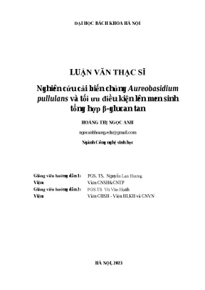 Nghiên cứu cải biến Aureobasidium pullulans và tối ưu