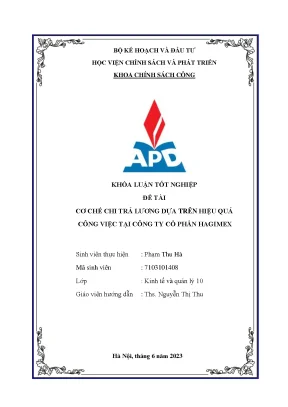 Cơ Chế Chi Trả Lương Dựa Trên Hiệu Quả Công Việc Tại