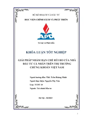 Giải Pháp Hạn Chế Rủi Ro Đầu Tư Cá Nhân Trên Thị Trường 