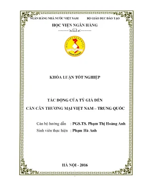 Tác Động Của Tỷ Giá Đến Cán Cân Thương Mại Việt Nam -