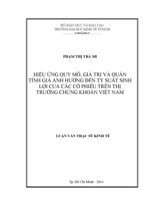 Nghiên Cứu Hiệu Ứng Quy Mô và Giá Trị Ảnh Hưởng Đến Tỷ