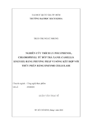 Nghiên Cứu Chiết Xuất Polyphenol và Chlorophyll Từ Búp