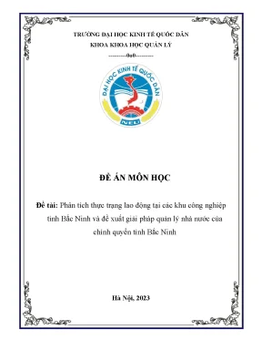 Phân Tích Lao Động Tại Khu Công Nghiệp Bắc Ninh: Thực