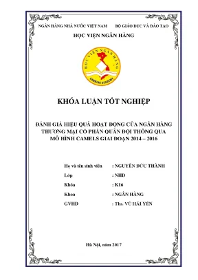 Đánh Giá Hiệu Quả Hoạt Động Ngân Hàng Thương Mại Cổ Phần