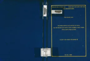Giải Pháp Phòng Ngừa Rủi Ro Tín Dụng Tại Ngân Hàng Nông