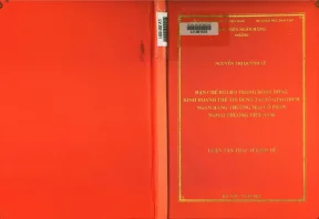Nghiên Cứu Rủi Ro Trong Hoạt Động Kinh Doanh Thẻ Tín