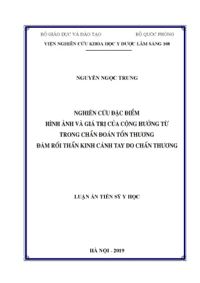 Nghiên Cứu Tổn Thương Đám Rối Thần Kinh Cánh Tay: Nguyên 