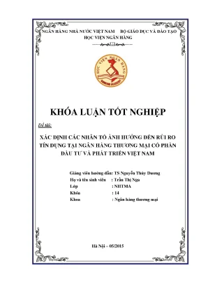 Những Nhân Tố Ảnh Hưởng Đến Rủi Ro Tín Dụng Tại Ngân 